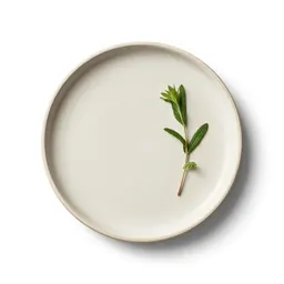Gin and tonic with botanicals