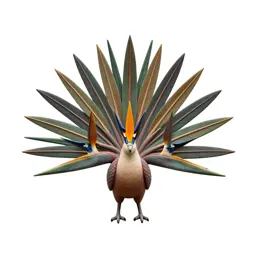 Bird of paradise displaying