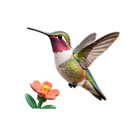 Hummingbird at a flower