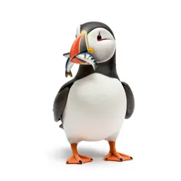 Puffin with a beakful of fish