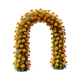Marigold arch