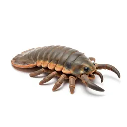 Trilobite on the seafloor