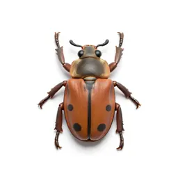 Diving beetle