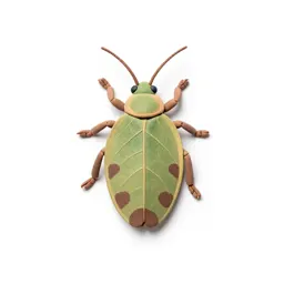 Leaf insect