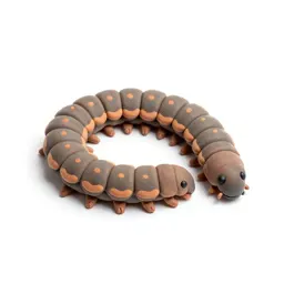Millipede coiled