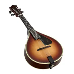Mandolin