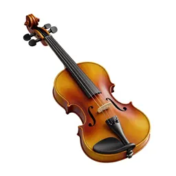 Violin with a bow