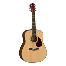 Acoustic guitar
