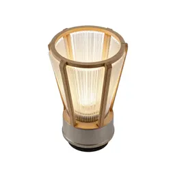 Fibre optic lamp
