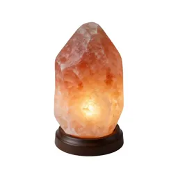 Salt lamp