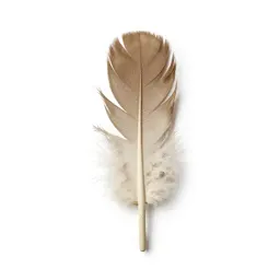 Feather wand toy