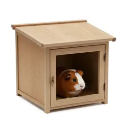 Guinea pig hutch