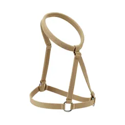 Harness with a handle