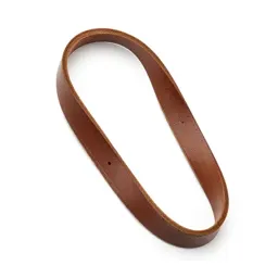 Leather dog lead