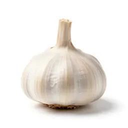 Bulb of garlic
