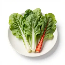 Bunch of rainbow chard