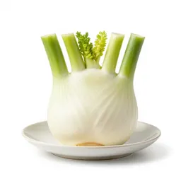 Fennel bulb