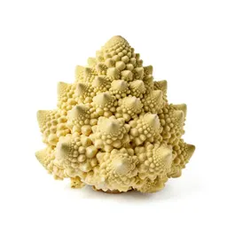 Head of romanesco