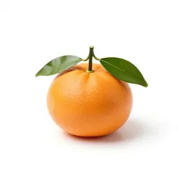 Mandarin with leaves
