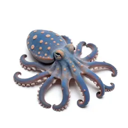 Blue-ringed octopus
