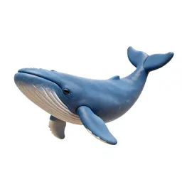 Blue whale