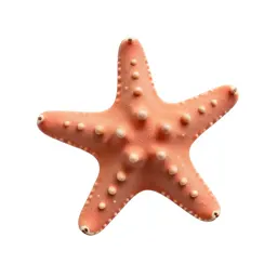 Brittle star