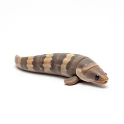 Garden eel