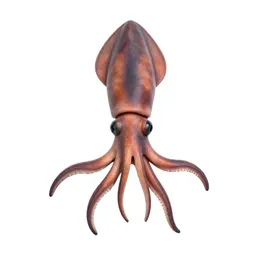 Giant squid