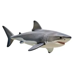 Great white shark