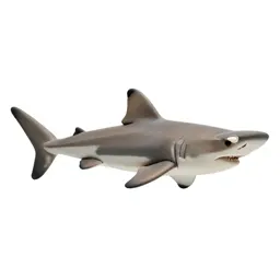 Hammerhead shark