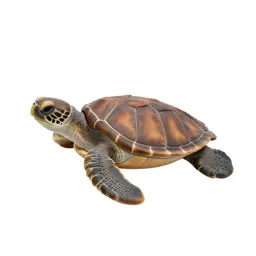 Leatherback turtle