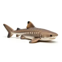 Leopard shark on sand