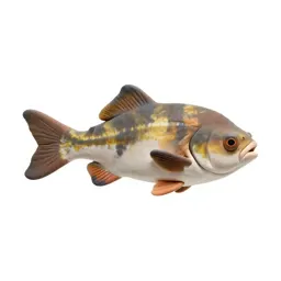 Sunfish