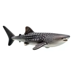 Whale shark with remoras