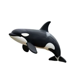 Orca breaching