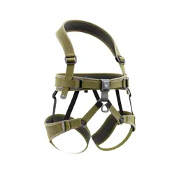 Climbing harness