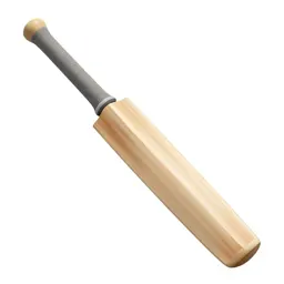 Cricket bat