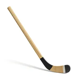 Hockey stick
