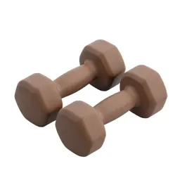 Pair of dumbbells