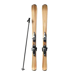 Pair of skis with poles