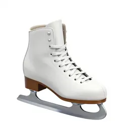Ice skate