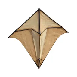 Kite