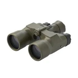 Stereoscope viewer