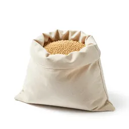Beanbag