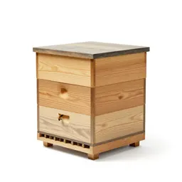 Beehive