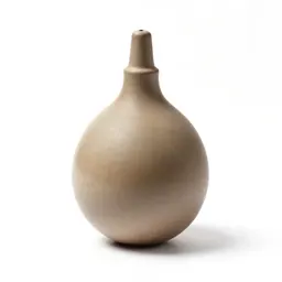 Bladder