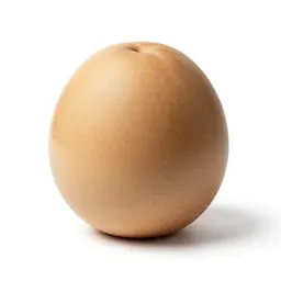 Butt