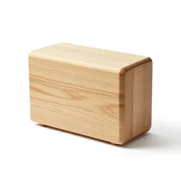 Case