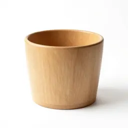 Container