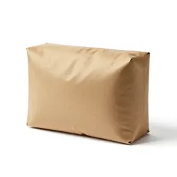Diplomatic pouch
